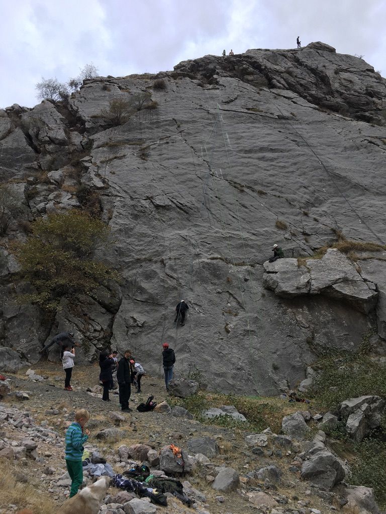 Untitled gallery photo